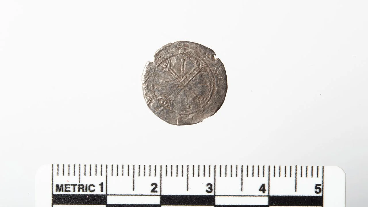 Norwegian Detectorist Uncovers Rare Historical Coin Linked to Viking King Magnus Barefoot