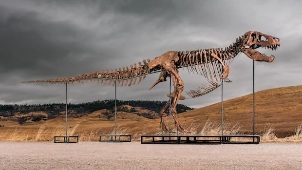 Record-Breaking T. rex Skeleton "Gus" Sells for $50.1 Million at Sotheby's Auction