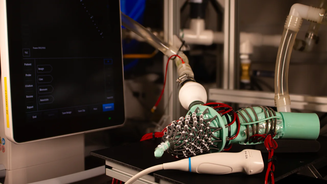 New Soft Robotic Heart Offers Insights into Challenging Heart Failure Condition