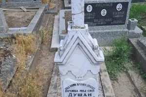 Honoring Dušan Vasiljev: Exploring the Poet's Legacy at His Grave in Kikinda