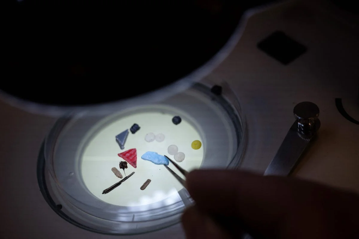 Study Links Microplastics in Blood to Heart Attack Survivors